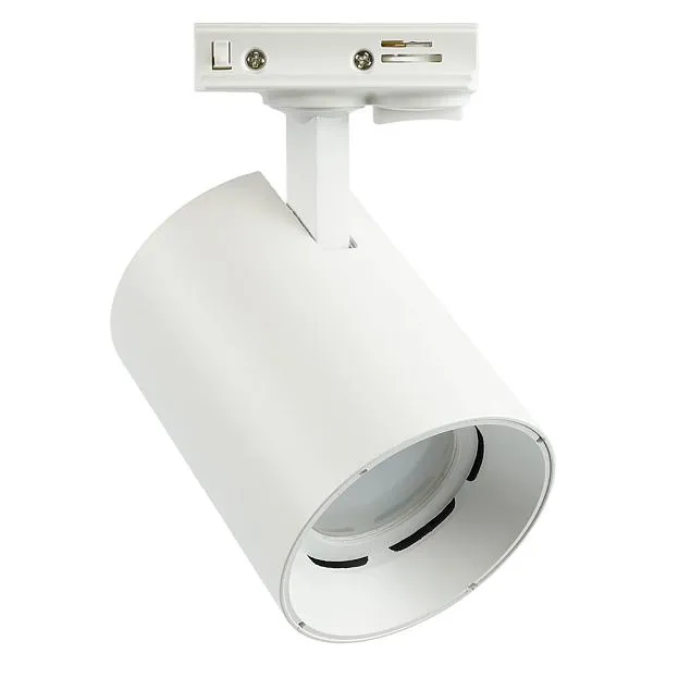 Трековый светильник Feron 51849 AL169