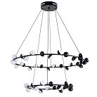 Подвес Arte Lamp A3619SP-48BK Dexter