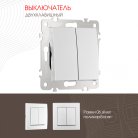 Выключатель двухклавишный, 10AX 250V Arte Milano 206.30-2.silver am