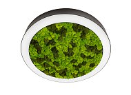 Накладной светодиодный светильник, 54Ватт, D-600мм. Donolux dl600c54nw moss black Aura Moss