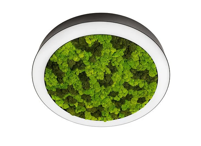 Накладной светодиодный светильник, 54Ватт, D-600мм. Donolux dl600c54nw moss black Aura Moss Накладной светодиодный светильник, 54Ватт, D-600мм. Donolux dl600c54nw moss black Aura Moss