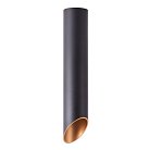 Светильник Потолочный Arte Lamp A1536PL-1BK PILON-GOLD