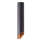 Светильник Потолочный Arte Lamp A1536PL-1BK PILON-GOLD