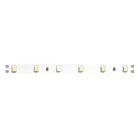 Светодиодная лента 24V 4,8W/m 6500К 5м Arte Lamp A2406008-03-6K TAPE