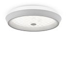 Потолочный светильник Freya FR10012CL-L24W Cells