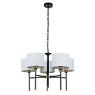 Подвесная люстра Arte Lamp A4090LM-5BK JAMIE