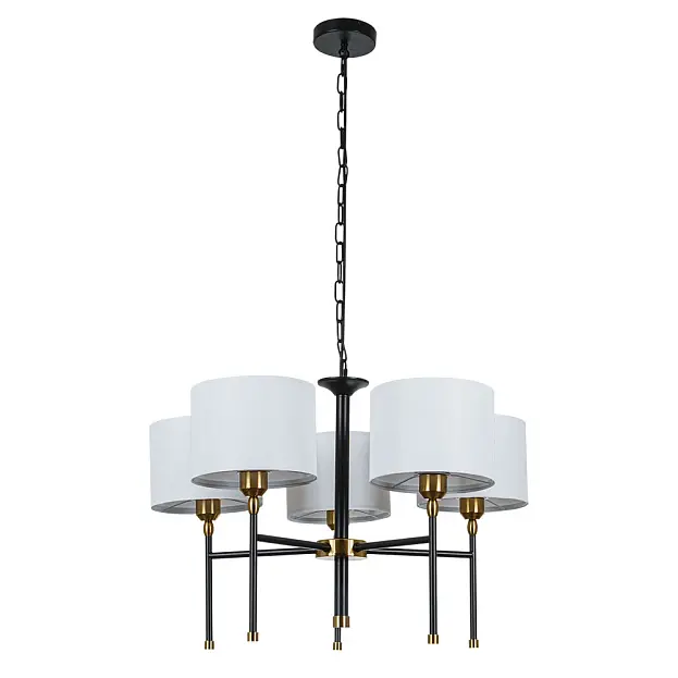 Подвесная люстра Arte Lamp A4090LM-5BK JAMIE