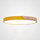 Потолочный Светильник Yellow D50 ImperiumLoft 193052-26 Clip01