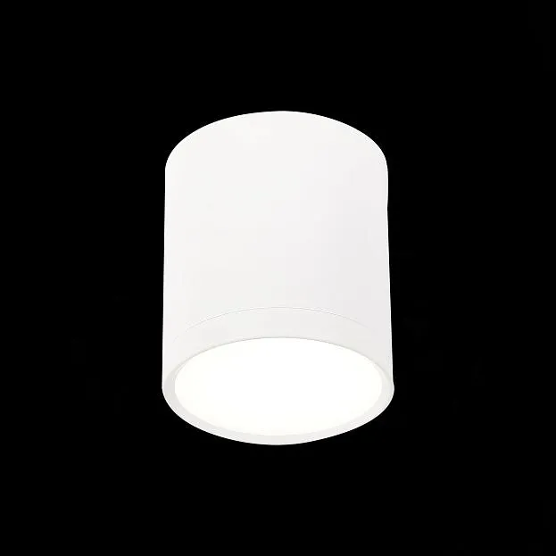 Потолочный светильник ST Luce ST113.542.05