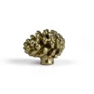 Ручка-кнопка Delight Collection MOS005 brass MOS001