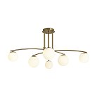 Потолочный светильник Freya FR5443CL-06BS Hanger