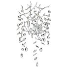 Бра ODEON LIGHT 4970/3W DELICA