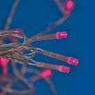 Гирлянда Uniel ULD-B12006-195/TTK PINK IP44