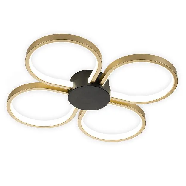 Потолочный светильник Escada 10243/4LED