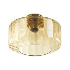 Потолочный светильник Odeon light 4747/1C BINGA