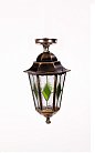Потолочный светильник уличный Oasis Light 79805lgA Gb PETERSBURG lead GLASS