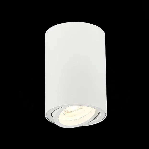 Потолочный светильник ST Luce ST108.507.01 Потолочный светильник ST Luce ST108.507.01