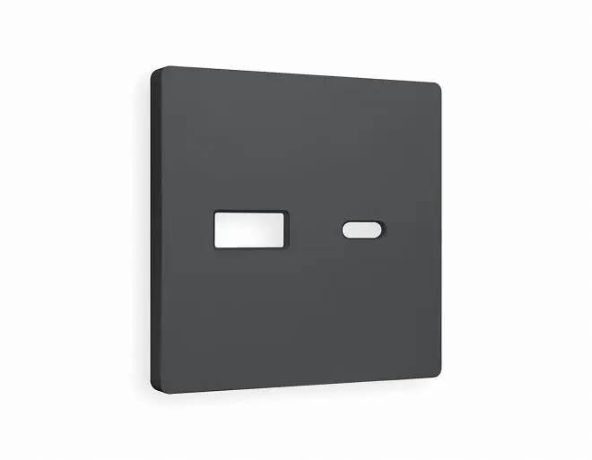 Лицевая панель ALFA (Графит Мягкое касание) для розетки 2USB тип Ambrella Volt AP9110 QUANT Лицевая панель ALFA (Графит Мягкое касание) для розетки 2USB тип Ambrella Volt AP9110 QUANT