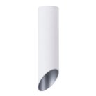 Светильник Потолочный Arte Lamp A1535PL-1WH PILON-SILVER