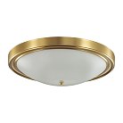 Настенно-потолочный светильник LUMION 5259/4C NINA