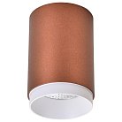 Потолочный светильник Wertmark WE801.01.607+WE803.RG.000 Stecken