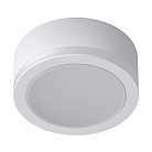 Накладной светильник Ledron SDL10-R100-4200K White