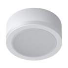Накладной светильник Ledron SDL10-R100-4200K White