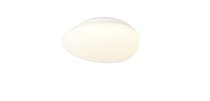 Потолочный светильник Simple Story 1205-LED12CL 1205