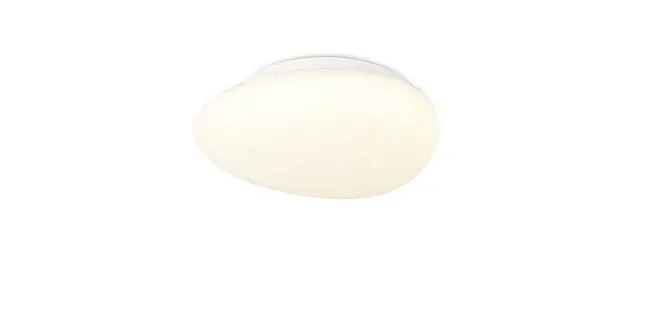 Потолочный светильник Simple Story 1205-LED12CL 1205 Потолочный светильник Simple Story 1205-LED12CL 1205