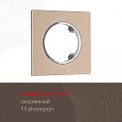 Рамка из алюминия на 1 пост Arte Milano 502.11-1.shampan am