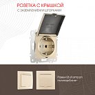 Розетка Arte Milano 206.41-1.shampan am