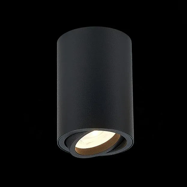Потолочный светильник ST Luce ST108.407.01 Потолочный светильник ST Luce ST108.407.01