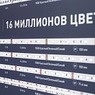 Стенд Arlight 000908(1)