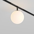 Трековый светильник Maytoni Technical TR038-2-5W3K Luna
