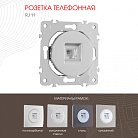 Розетка телефонная, RJ11 Arte Milano 202.51-1.silver am