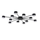 Потолочная люстра Lumion 8344/12C TORINA