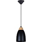 Подвесной светильник TOPLIGHT TL0724H-2B