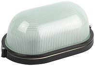 Настенно-потолочный светильник ЭРА НБП 04-100-001 черный