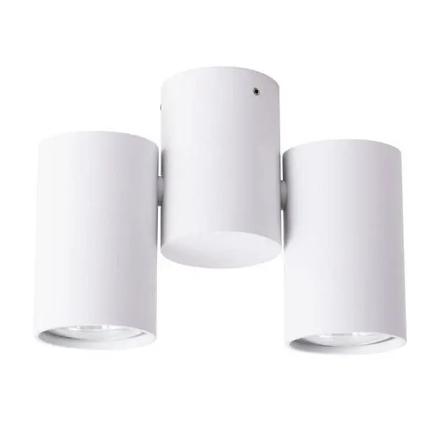 Светильник Потолочный Arte Lamp A1511PL-2WH GAVROCHE Светильник Потолочный Arte Lamp A1511PL-2WH GAVROCHE