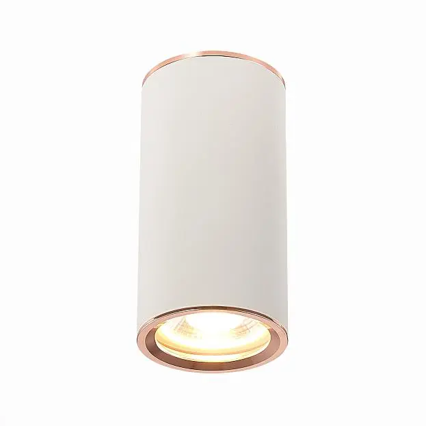 Потолочный светильник ST Luce ST111.527.01 Потолочный светильник ST Luce ST111.527.01