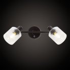 Спот Citilux CL510525 Артик