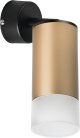 Спот Lightstar RB44031 Rullo