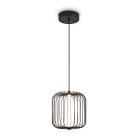 Подвесной светильник Freya FR6131PL-L13B Sabi