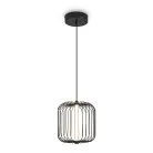 Подвесной светильник Freya FR6131PL-L13B Sabi