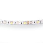 Лента цветная RGB+W 24V Lightstar 421000