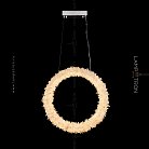 Подвесной светильник ROSLYN RING Размер S Lampatron roslyn-ring-s 4876-12455