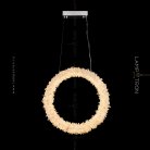 Подвесной светильник ROSLYN RING Размер S Lampatron roslyn-ring-s 4876-12455
