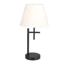 настольный светильник F-Promo 4621-1T