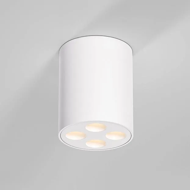 потолочный акцентный светильник Elektrostandard 25111/LED Points a067482 потолочный акцентный светильник Elektrostandard 25111/LED Points a067482
