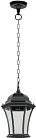 Уличный светильник подвесной Oasis Light 91305L Bl ASTORIA 1 L